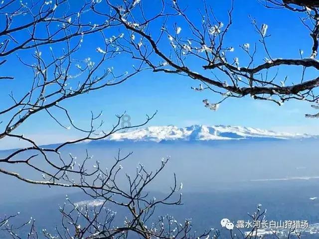 经费突破20亿元！北京交通大学好不好？2人入选国家级重磅名单