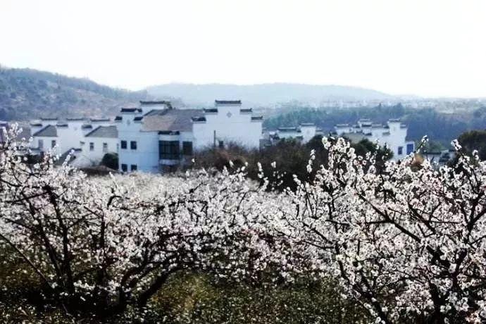 虎胆熊威2中文无敌版