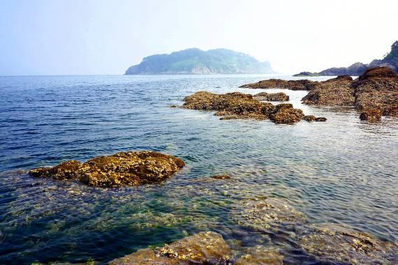 江州区召开2024年(第一期)年轻干部座谈会