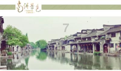 有趣的动物拼图