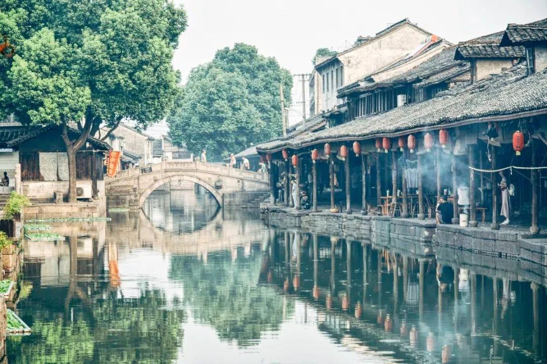 苏菲亚安伯时装秀