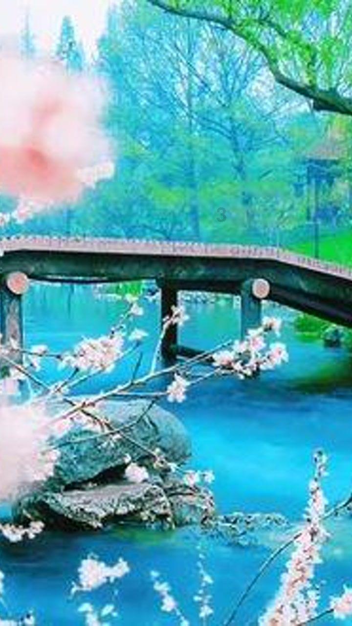 这是我的战争